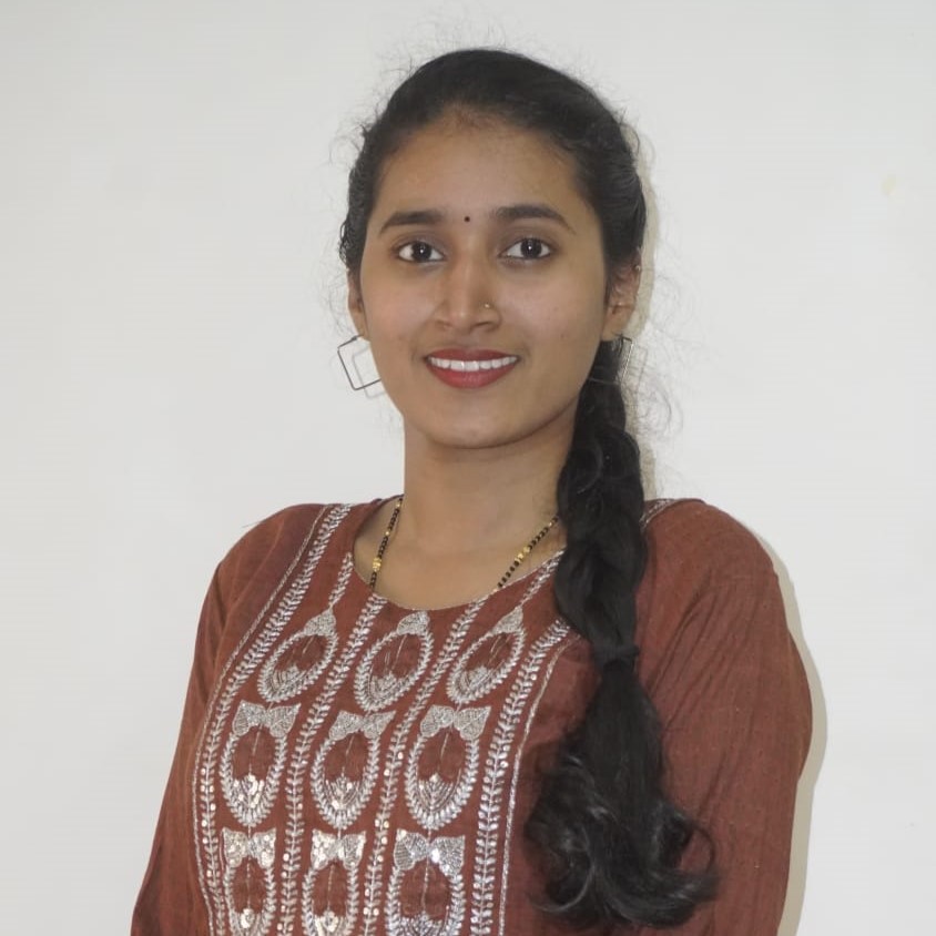 Software Engineer at Captico Consultancy